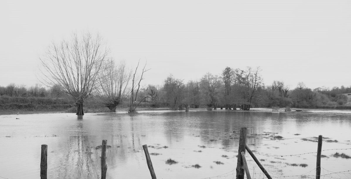 Flooding in Eynsford